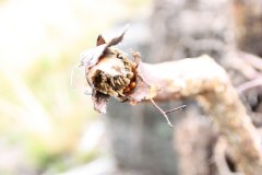 2012-09-01 Harcerski start Biery_100