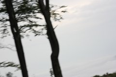 2012-09-01 Harcerski start Biery_84