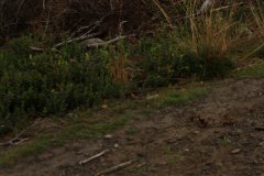 2012-09-01 Harcerski start Biery_86