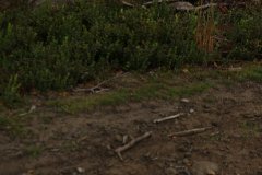 2012-09-01 Harcerski start Biery_87