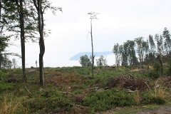 2012-09-01 Harcerski start Biery_92