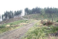 2012-09-01 Harcerski start Biery_96