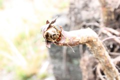 2012-09-01 Harcerski start Biery_98