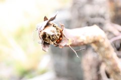 2012-09-01 Harcerski start Biery_99