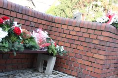 2012-11-11 Święto Niepodległości Wodzisław_58